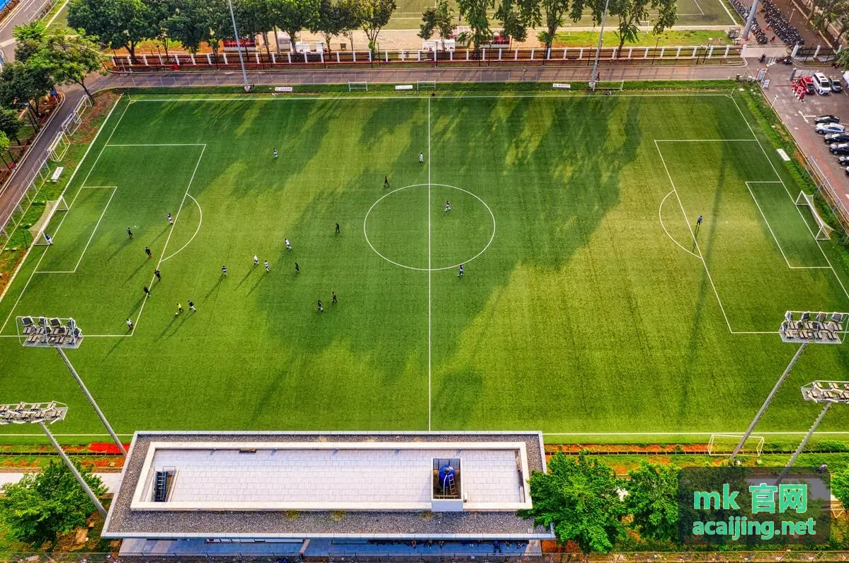 mk官网美妆资讯精华成分速查封面